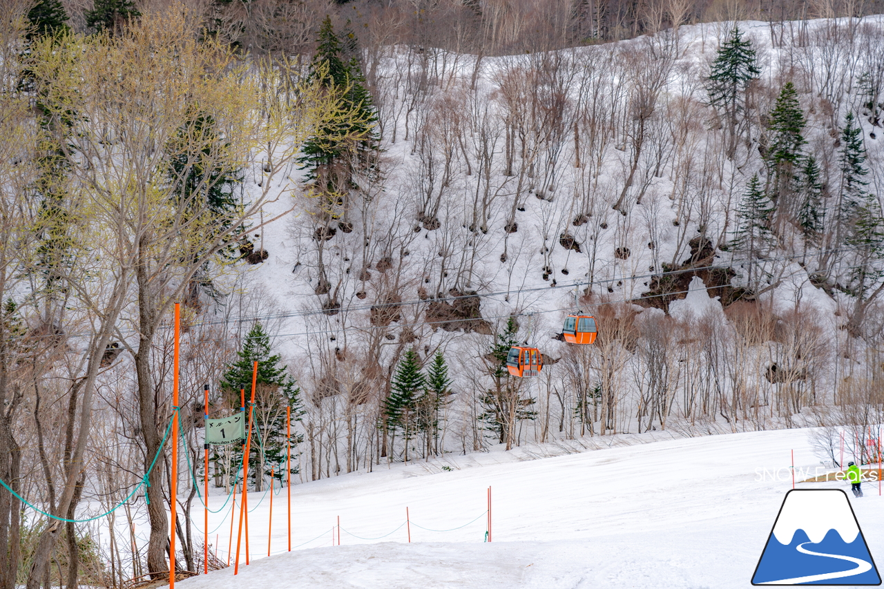 札幌国際スキー場｜2022年のゴールデンウイークが開幕。さすが、KOKUSAI。5月目前にして、ほぼ全面滑走可能です(*^^)v